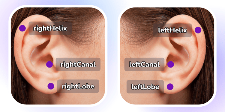 ear attachment points in 8th wall face effects 